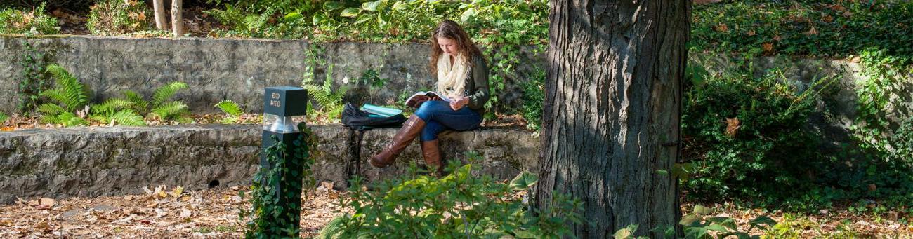 A student reads in the green space outside of Alden Library 4th floor